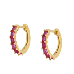Aros Astrid Fucsia Plata Dorada