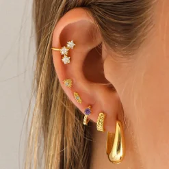 Aros Espiga Plata