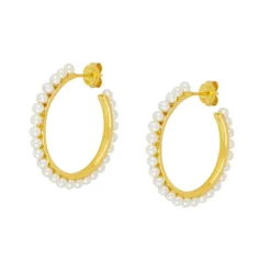 Aros Zoe Plata Dorada