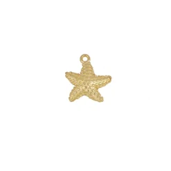 Charm Estrella Mar Plata Dorada