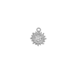 Charm Nor Plata