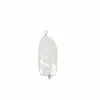 Charm Rectangle Pearl Plata