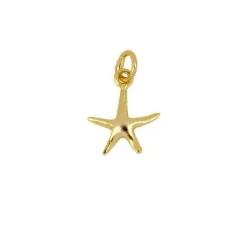 Charm Sea Star Plata Dorada