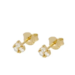 Pendientes Mini Erin Plata Dorada