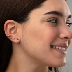 Pendientes Spinosaurus Plata
