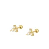 Piercing Dasa Plata Dorada