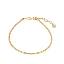 Pulsera Omega Plata Dorada