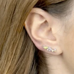 Trepadores Meina Plata